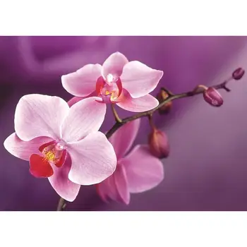 

Set for Diamond Mosaic Granny Ag4634 "Branch Of Orchids"