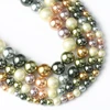 15 Colors Shell Pearls Beads Natural Shell Round Loose Spacer Beads for Jewelry Making DIY Bracelet Earrings 15'' ► Photo 2/6