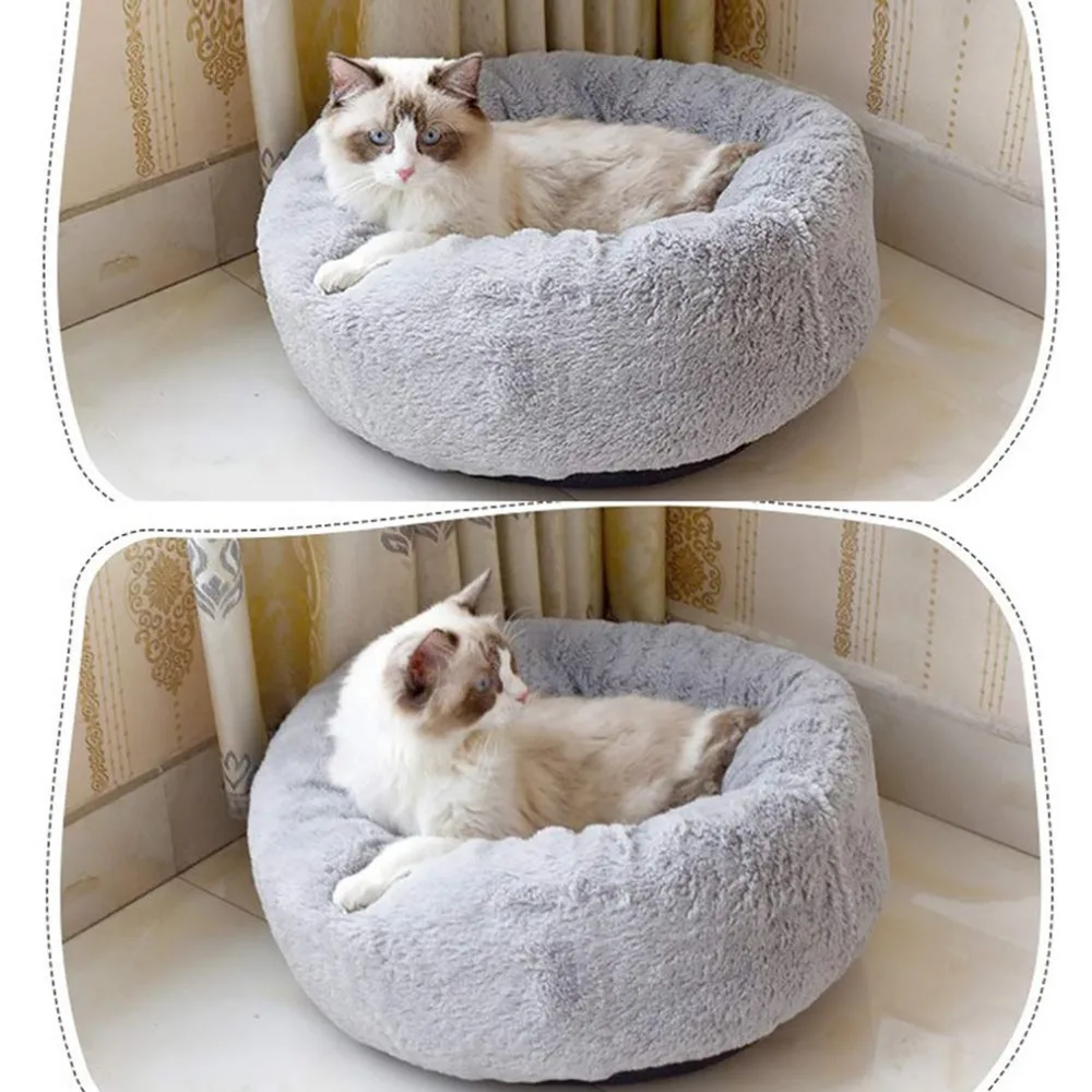 CP234010-C-2020100606-1