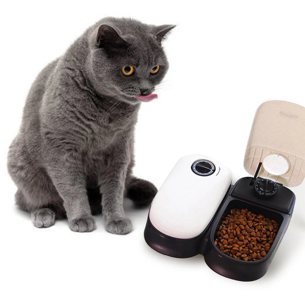 cat feeding timer bowls