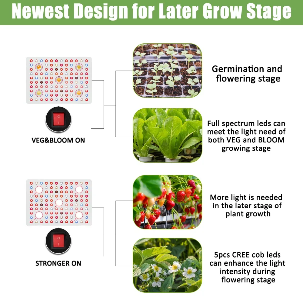 Newest Design for Later Grow Stage