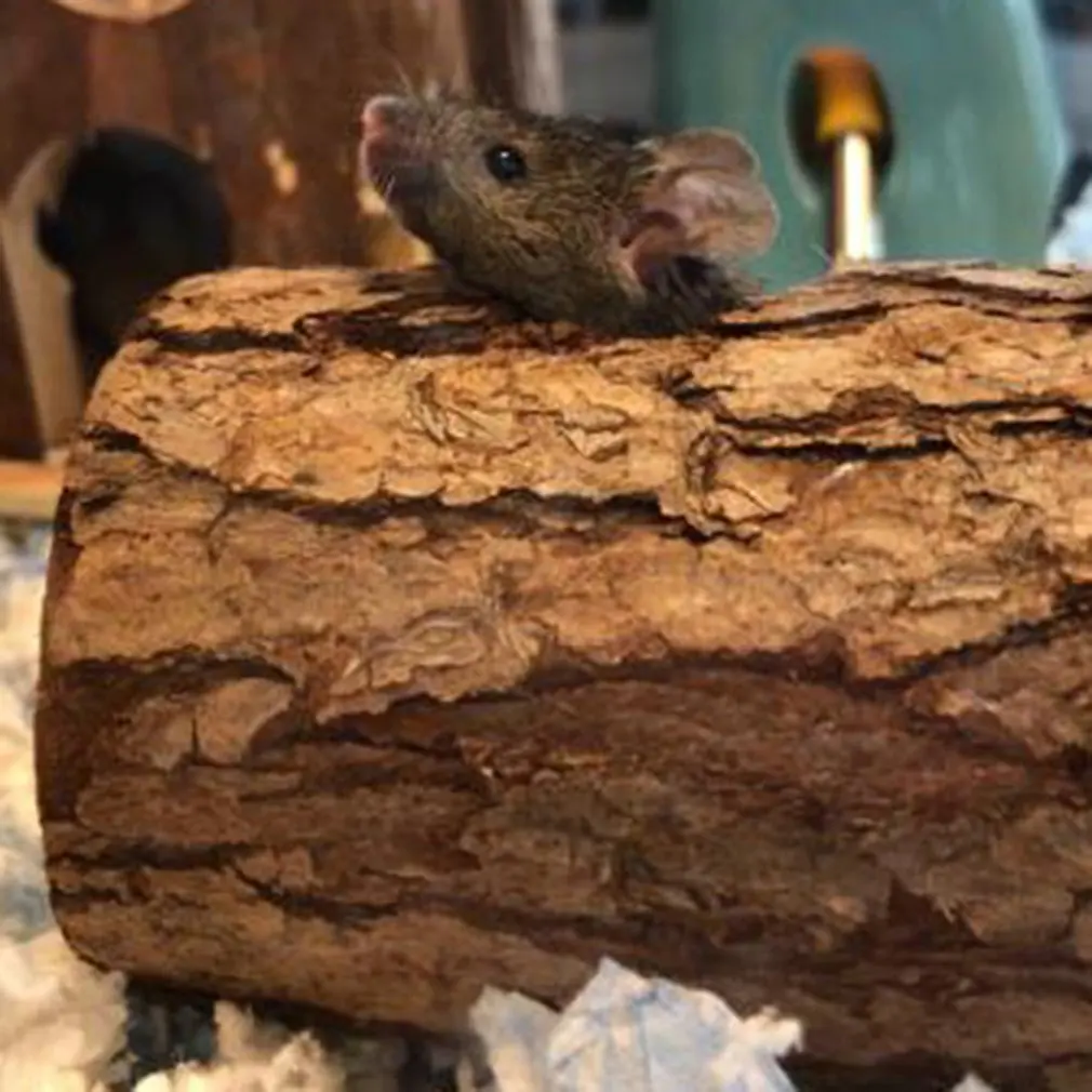 2021Non-toxic And Harmless Hamster Solid Wood Tube Tree Tube Natural Wood Animal Tunnel Sports Tube Children's Chewing Toy