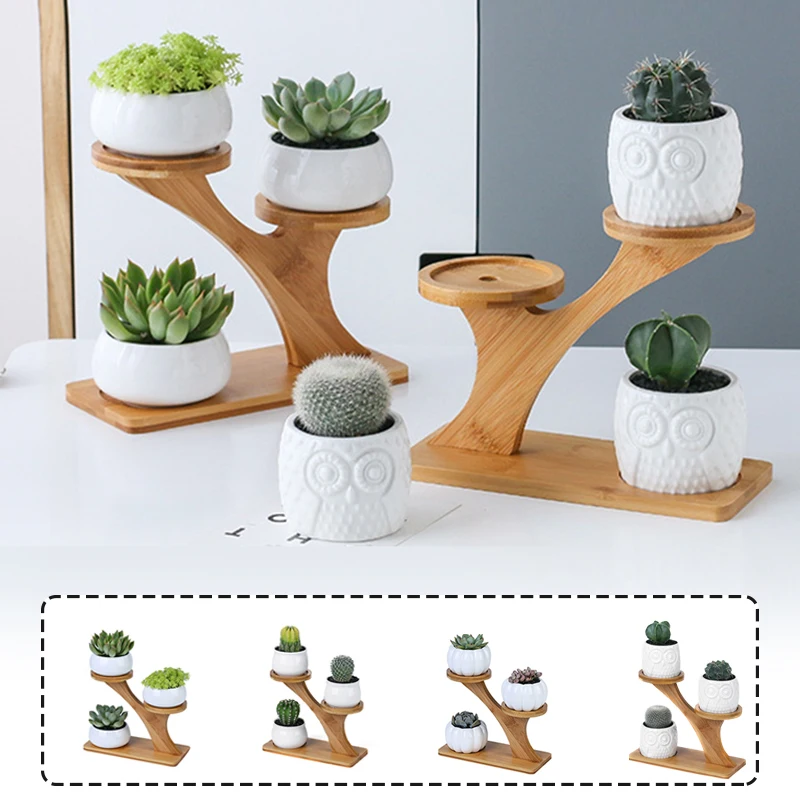 Plant Shelves Flower Display Stand Creative Succulent Plant Owl Pumpkin Bamboo Frame Ceramic Flowerpot Tray