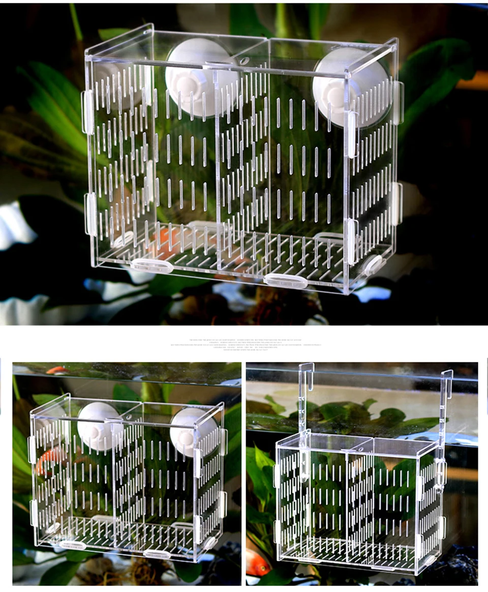 Aquarium,Boîte d'élevage de poissons carrée, boîte d'isolation, plaque