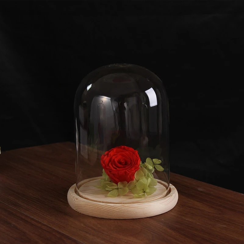 Диаметр = 13 см Высота = 18 см основание бревна стеклянная купольная ваза, домашний декор стеклянный купол DIY друг Подарочный Свадебный мешочек подарок