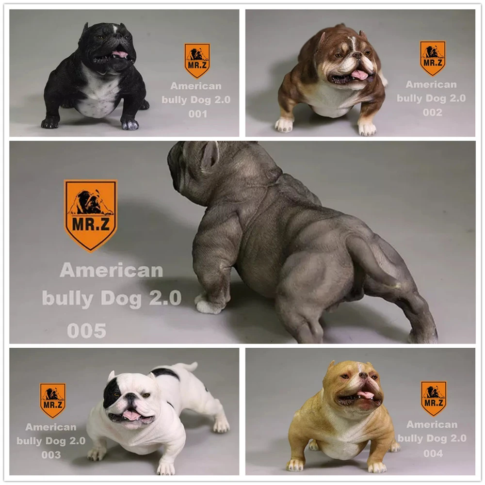 Mr.Z Studio 1:6 Amerikaanse Bully Pitbull Hond Pet Figuur Dier Speelgoed Collector Xmas Gift Play Decoratie Ornamenten De Hand Doen|null| - AliExpress