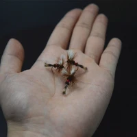 5pcs 12# Royal Wulff Dry Fly Bait Attractor Pattern Resembled Fly Fishing Fly 4