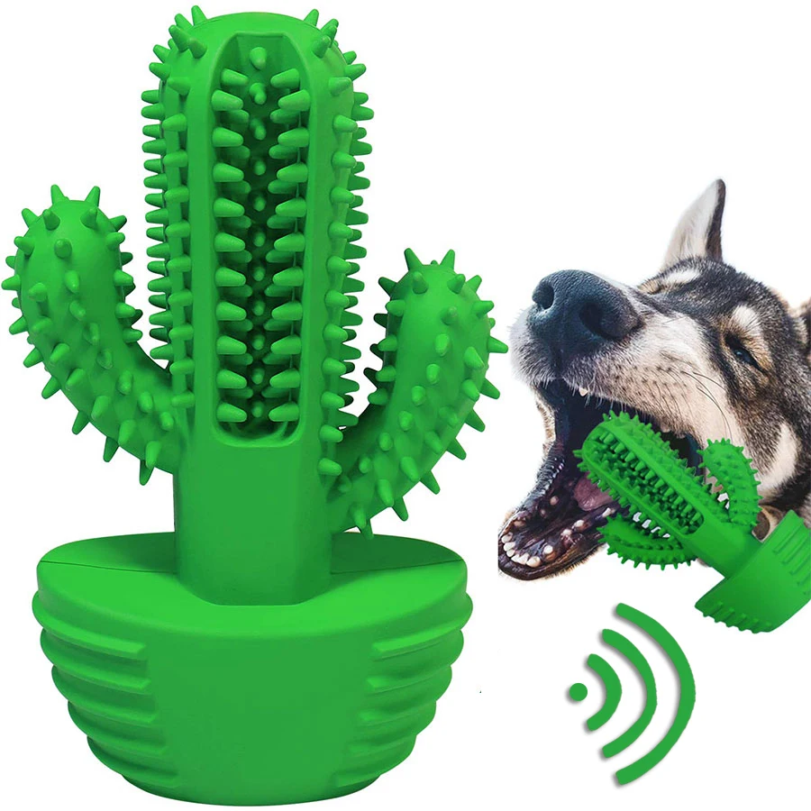 кактус собака. собака и кактус. мопс в костюме дракона. кактусы и животные. животные которые едят кактусы.