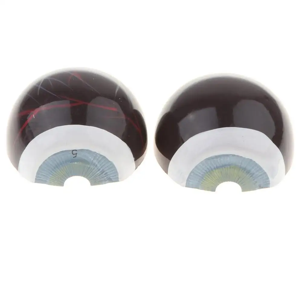 Модель анатомии глаз увеличенная 6 частей 3 раза|anatomy model|model structuresmodel anatomy |