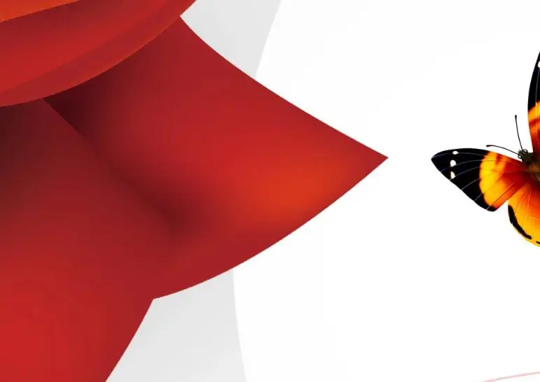 QQ截图20200627151734