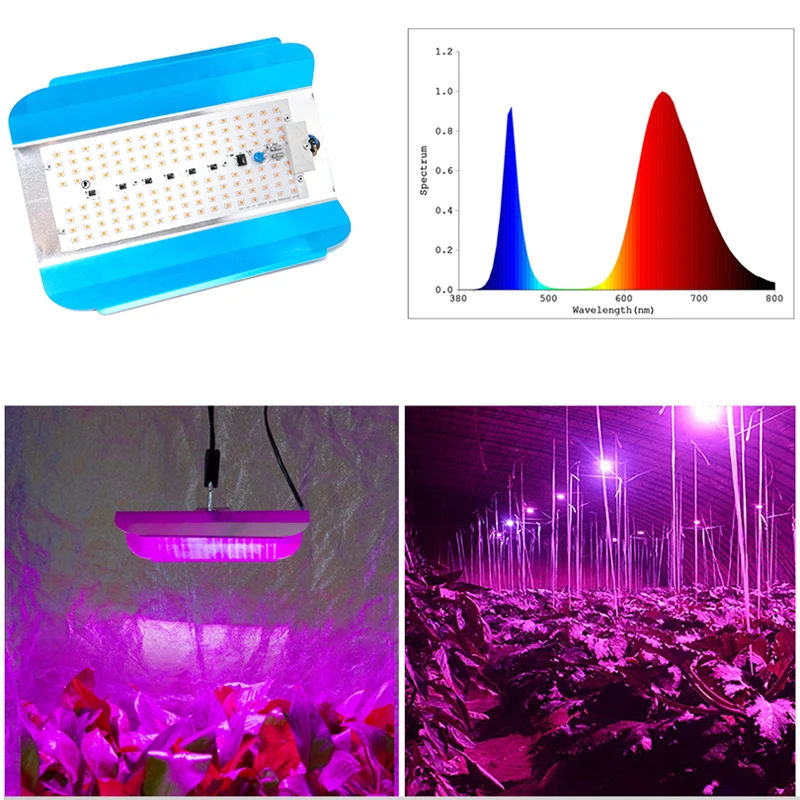Indoor Phytolamp For Plants 50W 100W Led Grow Light For Greenhouse Plants Growing Hydroponic Phyto Lamp Led Spotlights With Plug