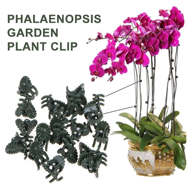 

Suitable For All Types Of 50Pcs 20mm Plastic Plant Support Clips For Orchid Hanging Vine Connects Plants