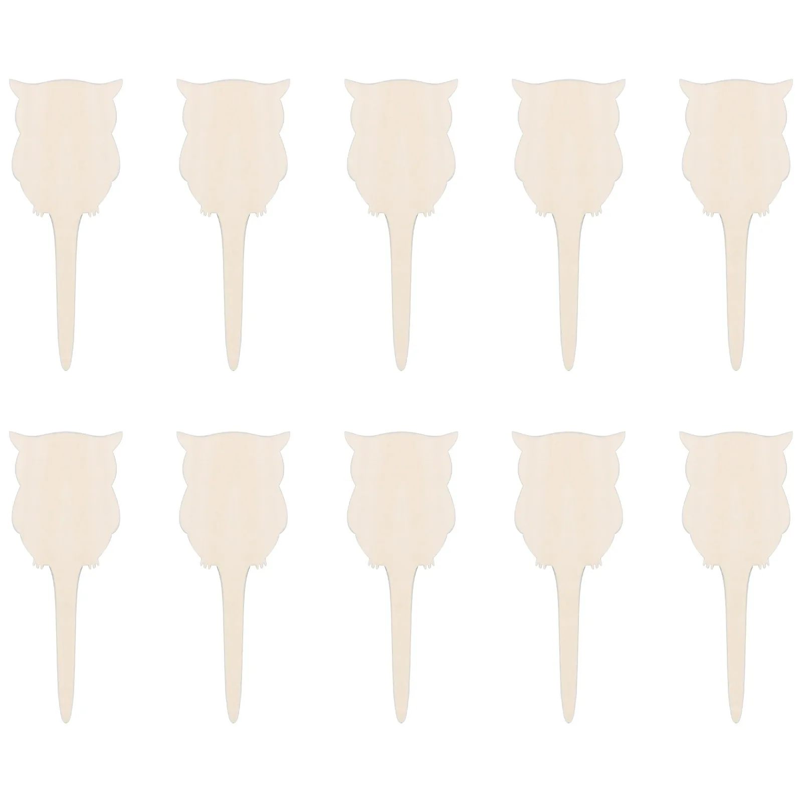 My Image 6