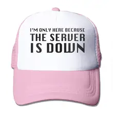 Я здесь только потому, что сервер вниз сетки бейсбольная Кепка водителя грузовика Стиль шляпы розовый
