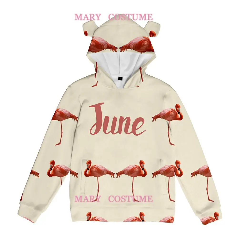 

Flamingo Hoodie Sweatshirts Men Women Print Pullover Unisex Harajuku Tracksui