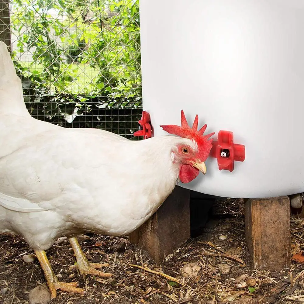 10PCS Chicken Waterer Hens Quail Birds Drinking Bowls Water for Chicken Coop Chick Nipple Drinkers Poultry Farm Animal Supplies