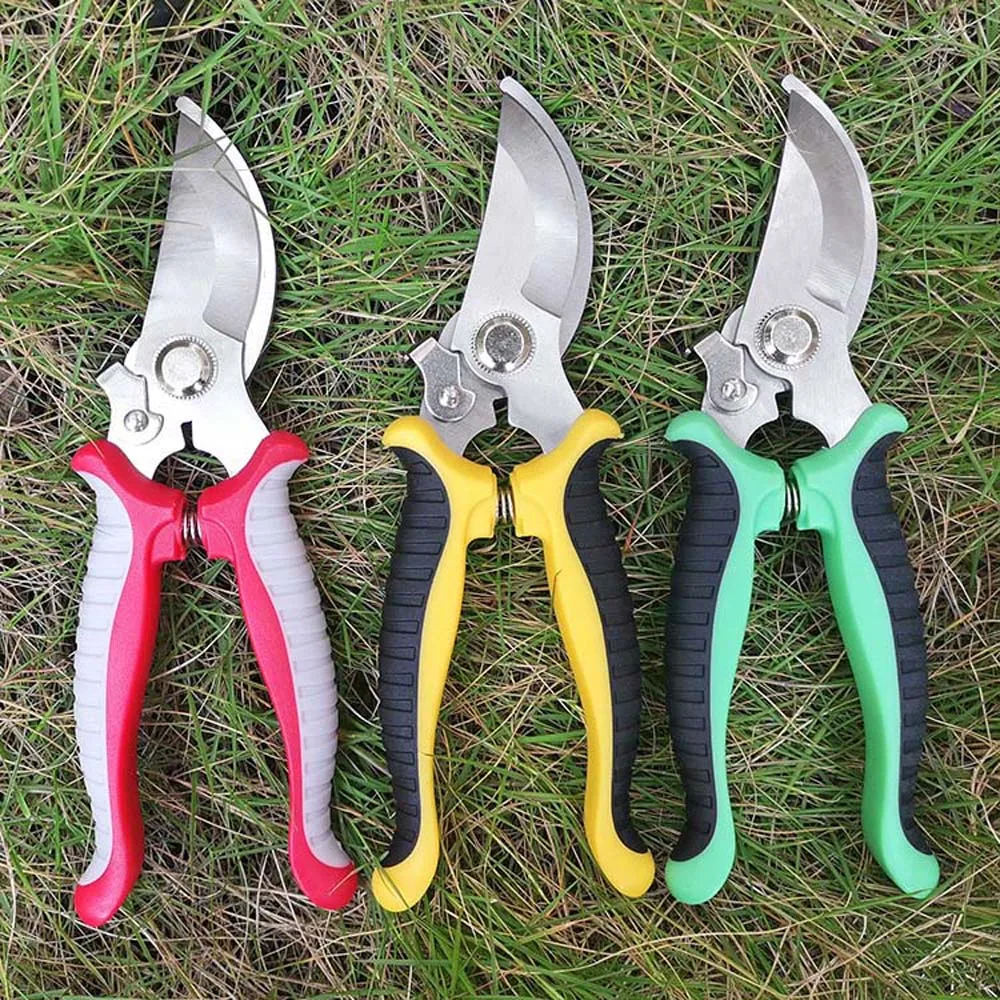 8a9ae1c17227bf3901722c54fd44070e