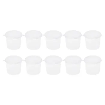

Plastic Disposable Sauce Cup Clear Salad Dressing Food Storage Containers + Lids