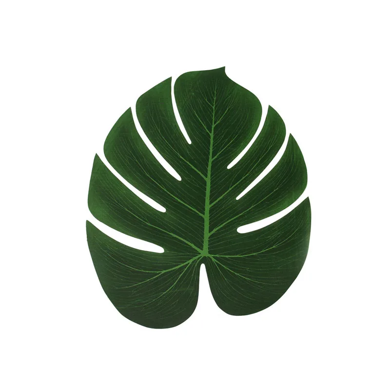 10330020238_1303492556 (1)