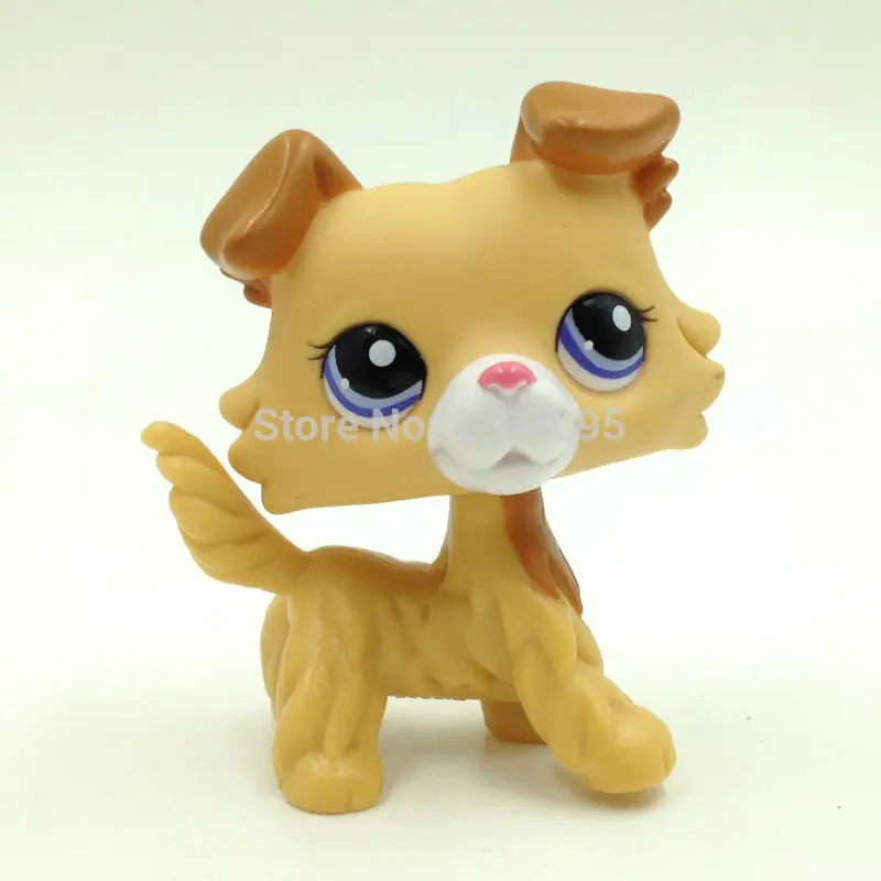 Littlest Pet Shop Dog #2452 LPS Collie Cute Toys Yellow  Puppy 