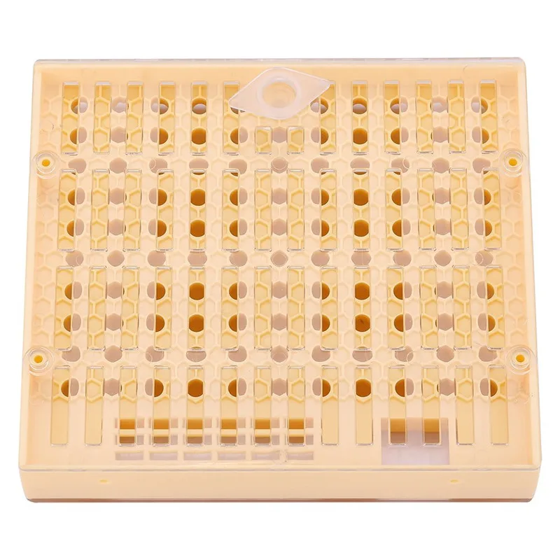 Bee Nicot Beekeeping Tool Kit Box Case Queen Rearing System Cell Cups
