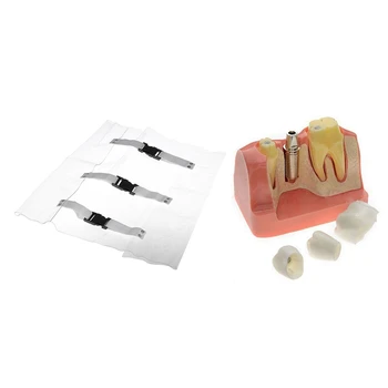

1 Pcs Teeth Model Transparent Implant Nerve Model & 1 Pcs Chair Mat Cushion Foot Pad