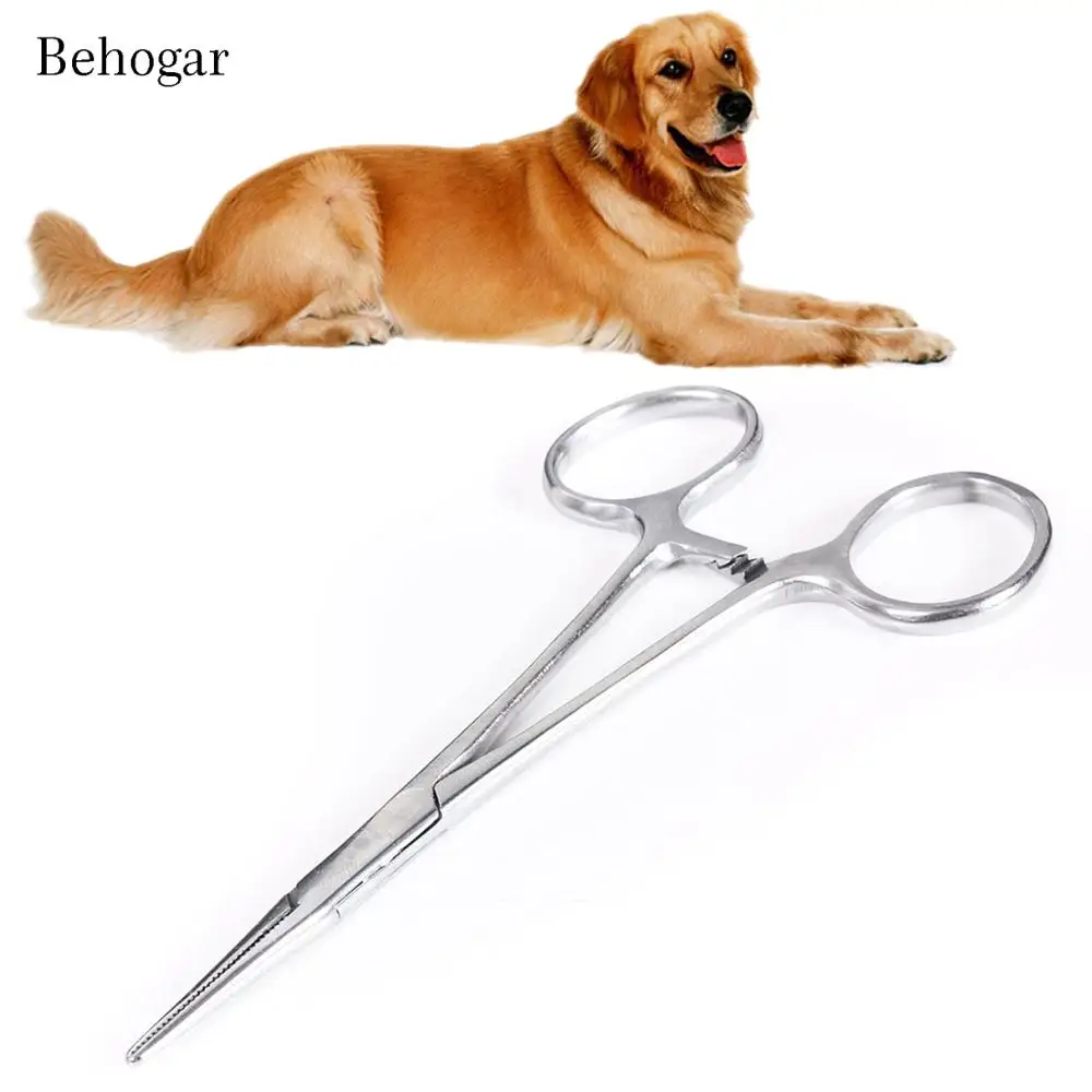 Behogar 1pc font b Pet b font Stainless Steel Straight Curved Head Hemostatic Forceps Scissors Needle