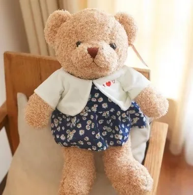 Мягкие игрушки животных, плюшевый медведь, куклы, машина для ловли куклы, плюшевые игрушки, объятия медведя, медведя, кукольный свитер - Цвет: Couple bear female