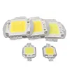 White / Warm White 10W 20W 30W 50W 100W LED light Chip DC 12V 36V COB Integrated LED lamp Diodes DIY Floodlight Spotlight Bulb ► Photo 2/4