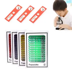 12 шт слайды подготовленные для микроскопа комплект образца для студенческие основные Пособия по биологии образования