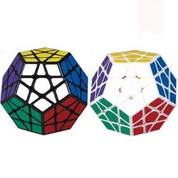 Cube magique professionnel 12 faces, Puzzle, jouets éducatifs pour enfants, Jeu d'apprentissage, GTJ50 