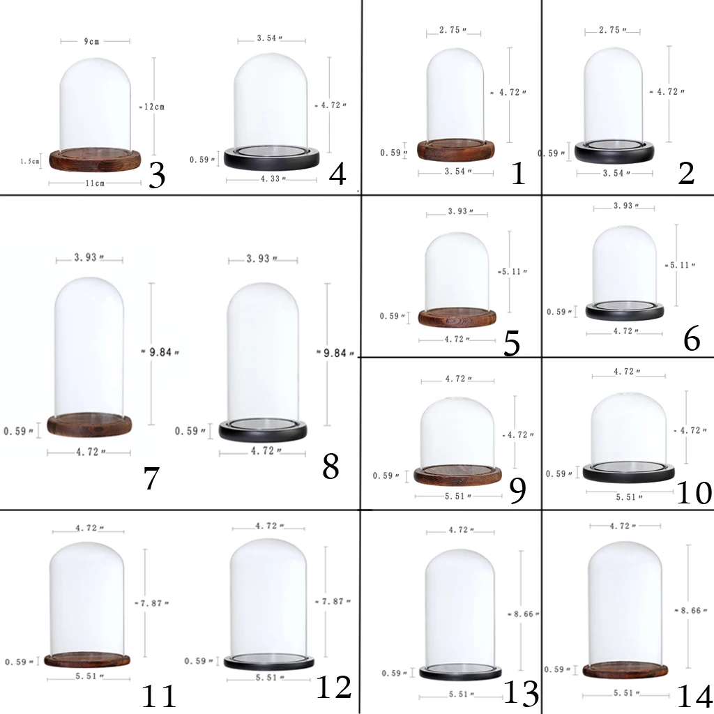 Glass Plants and Flowers Holder for Home Garden Office Store Decoration