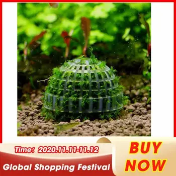 

Aquatic Pet Supplies Decorations Aquarium Marimo Moss Ball Live Plants Filter For Java Shrimps Fish Tank Hot Pet Products