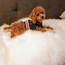 Мягкий ковер из натурального меха и шерсти, коврик для кровати собаки, ортопедическая кровать для собаки, белый ковер для собаки, для больших, средних и маленьких щенков