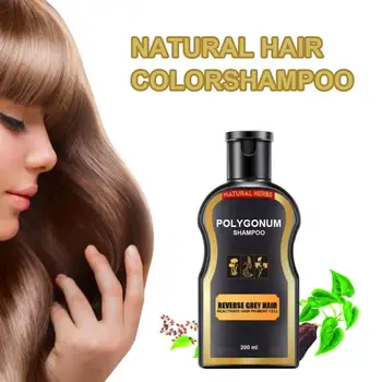 

30ml Natural Polygonum Multiflorum Hair Shampoo Black Hair Care Repair Oil Anti-dandruff Hair Darkening Shampoo