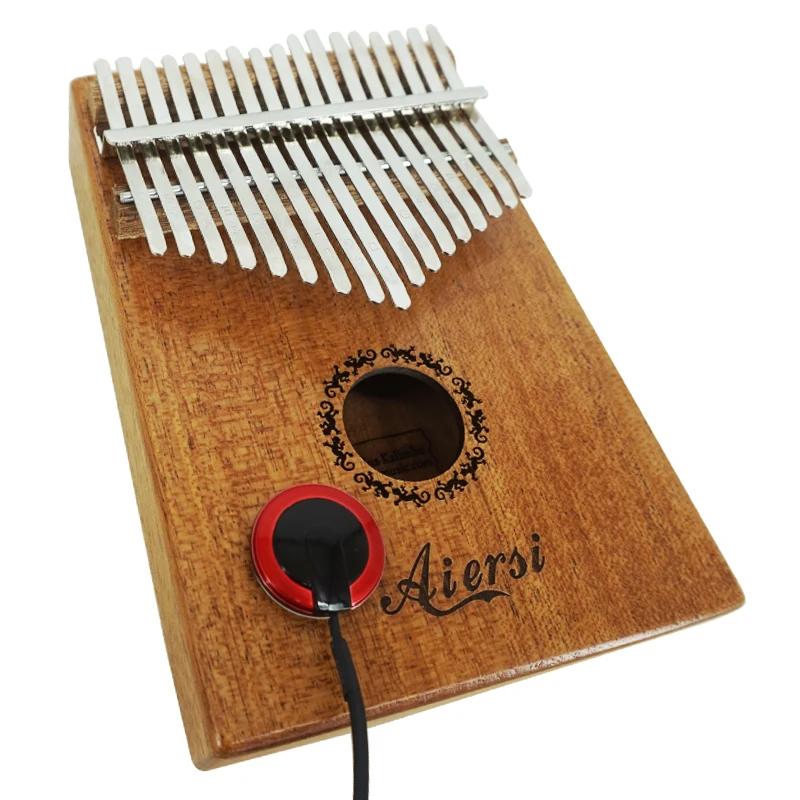 拾音器3