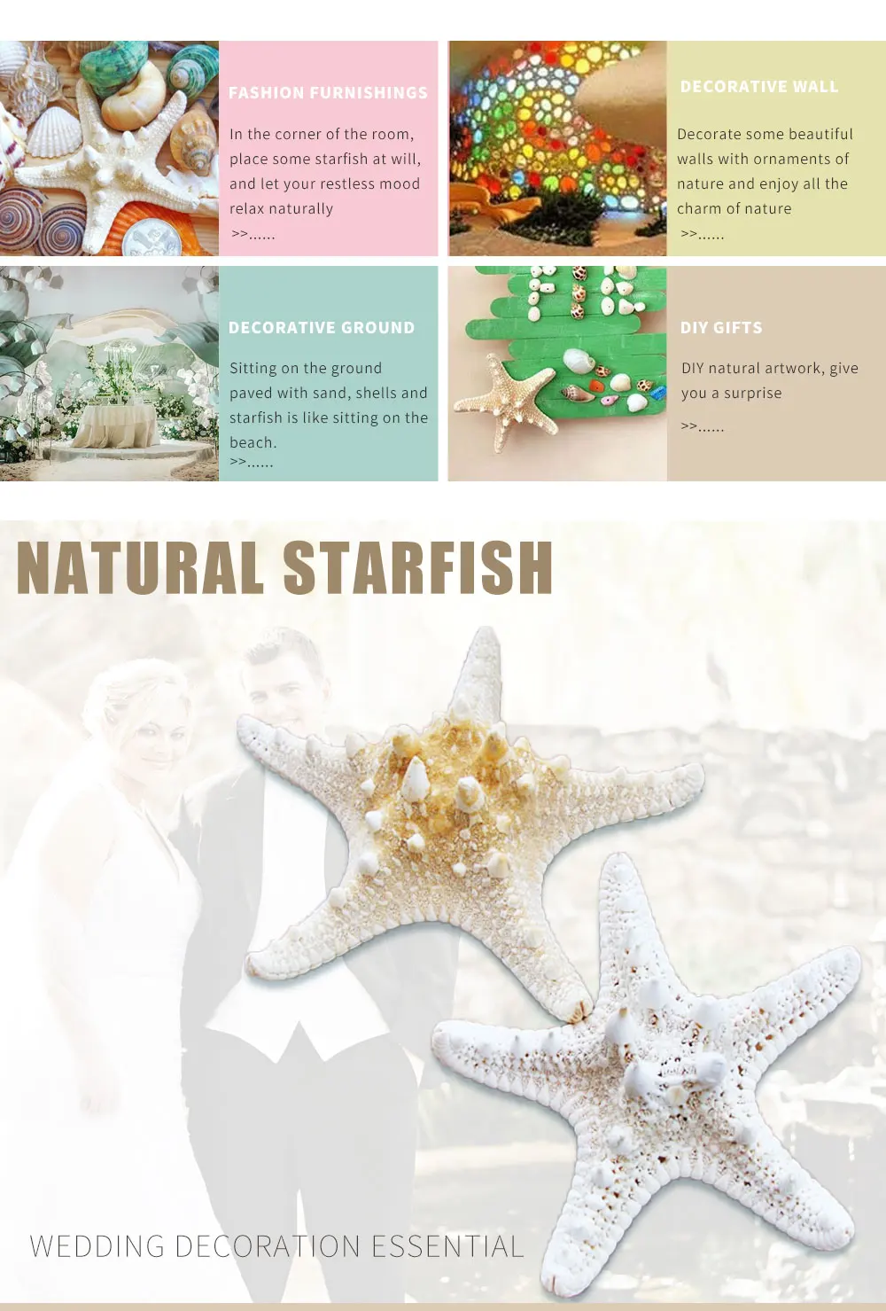 H8c10fe46014142129d29e20e5a357101Q.jpg?width=1000&height=1479&hash=2479