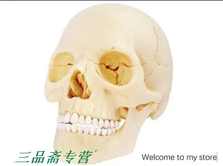 000000000000000000000000000000000000000000000000000000000000000000000007 - 副本 - 副本 (1) (1) - 副本