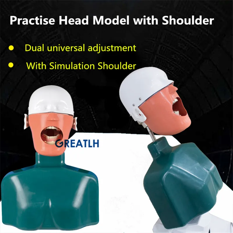 US $511.29 Dental Training Manikin Phantom Head With Torso Dental Simulators Hygiene Simulator Dentistry Education Manikin