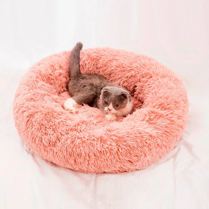 dog bed.jpg_.webp