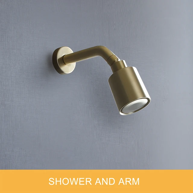 Top Shower and Arm