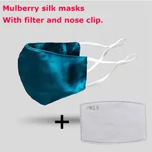 High Quality Mulberry Silk Masks With PM2.5 Filter Natural Silk Face Mouth Masks Dust Proof Women Men Fashion Masks Washable