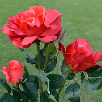 

Solar Garden Rose Lights 3 Pack Waterproof Solar Lights with 6 Roses for Garden Q0KF