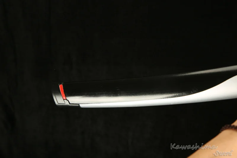 B06A6804