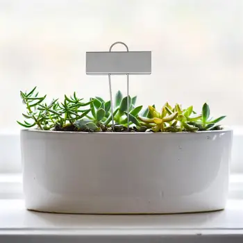 

10Pcs Durable Stainless Steel Plant Tag Metal Insert Card Bonsai Topper Sunproof Gardening Label for Home Garden (Silver)