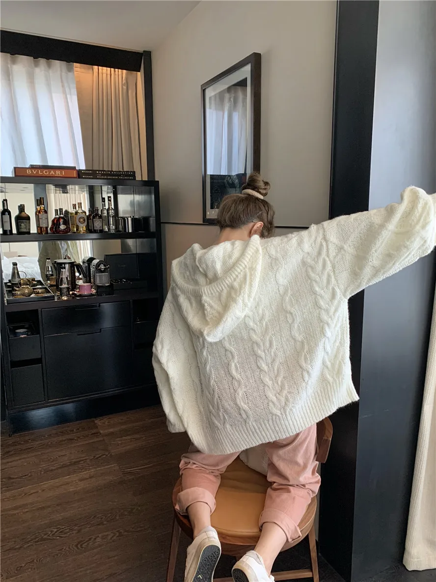 Korean Autumn New Sweaters Vintage Twist Hoodies