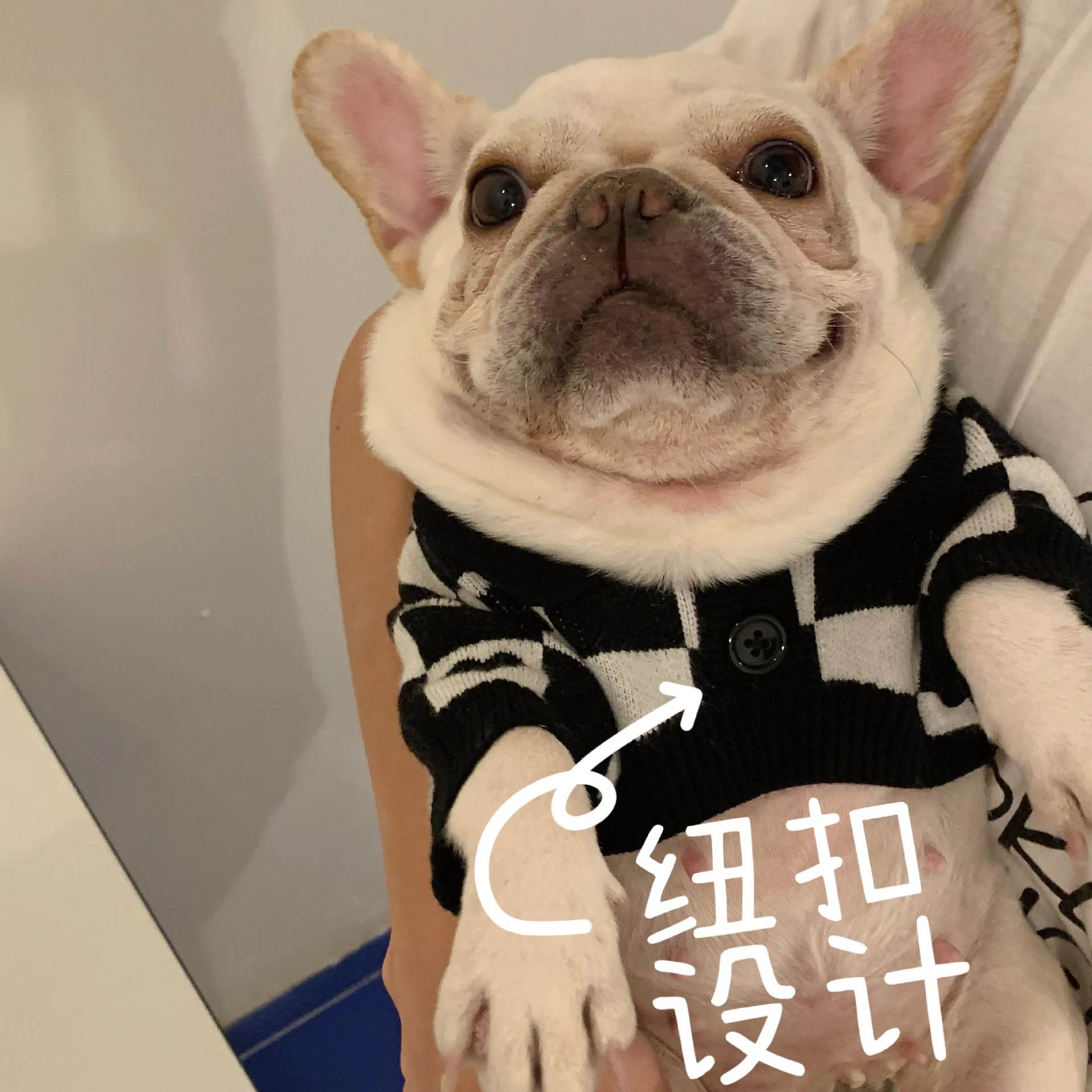 IMG_1808.jpeg