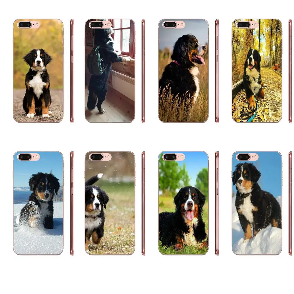 Soft TPU Stylish Case Bernese Mountain Dog For Apple iPhone 4 4S 5 5C 5S SE SE2 6 6S 7 8 11 Plus Pro X XS Max XR | Мобильные