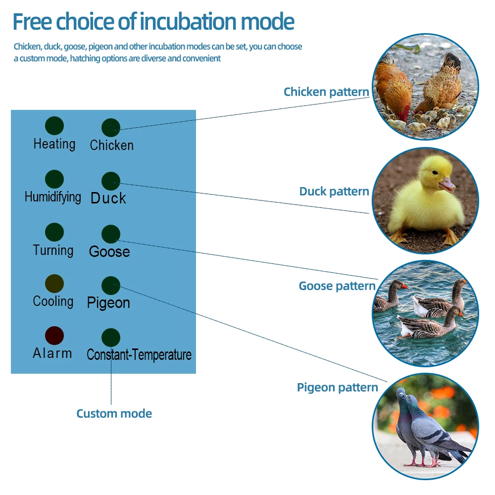 XM-18K Farm Machine Egg Incubator Digital Automatic Thermostat Controller  Egg incubator Control System Hatchery Machine - AliExpress, image size:1000x1000