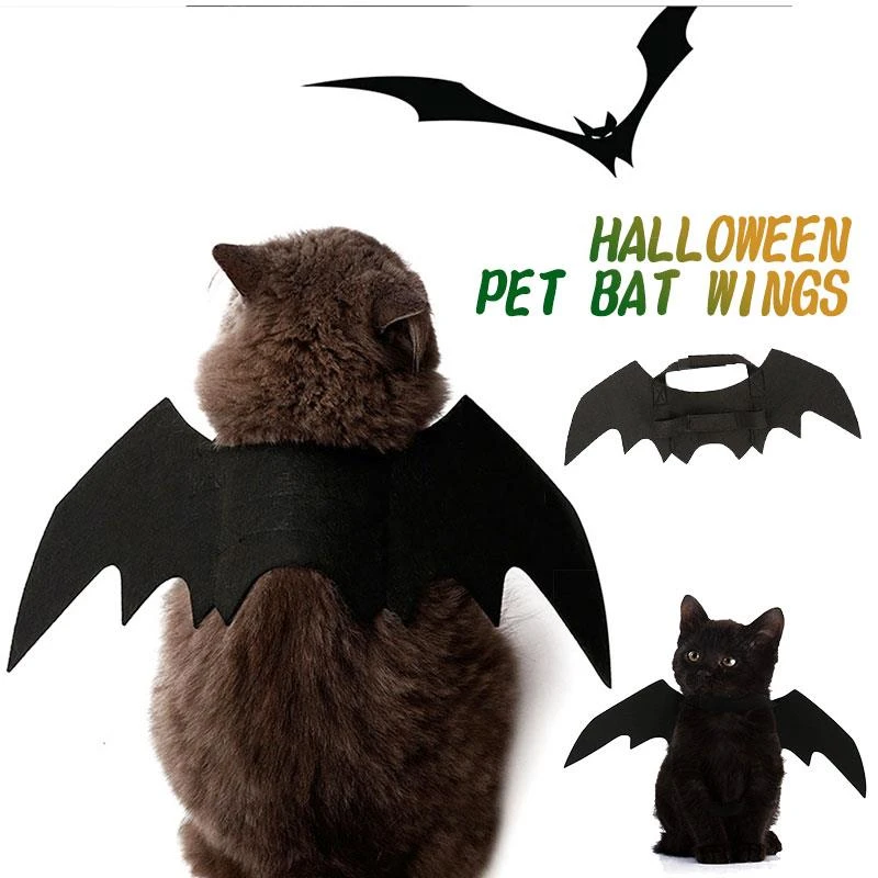 Deguisement Aile Chat Noir Pour Animaux Mignon Creatif Halloween Suppiles Tenue En Tissu Feutre Cape Chauve Souris Accessoires Ailes Animal Aliexpress Deguisement Aile Chat Noir Pour Animaux Mignon Creatif Halloween Suppiles Tenue En Tissu Feutre Cape Chauve Souris Accessoires Ailes Animal Aliexpress
